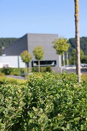 Grüne Wiese, Bäume und Sträucher vor dem VACUUBRAND Firmengebäude.