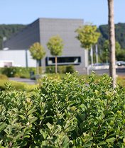 Green meadow, trees and bushes in front of the VACUUBRAND company building.